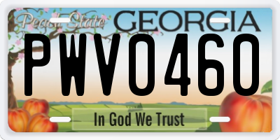 GA license plate PWV0460