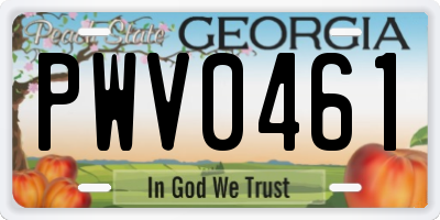 GA license plate PWV0461