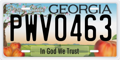 GA license plate PWV0463