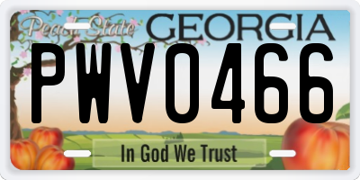 GA license plate PWV0466