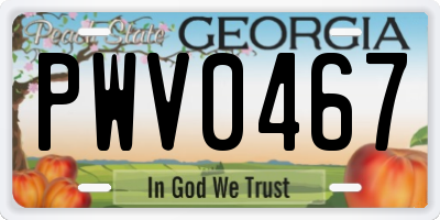 GA license plate PWV0467