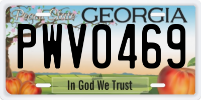 GA license plate PWV0469