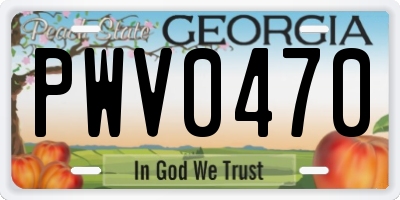 GA license plate PWV0470