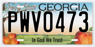 GA license plate PWV0473