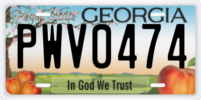 GA license plate PWV0474