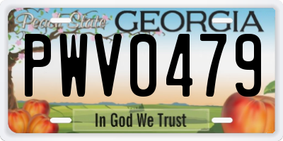 GA license plate PWV0479