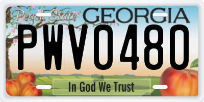 GA license plate PWV0480