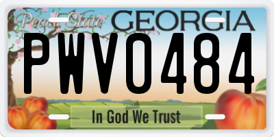 GA license plate PWV0484