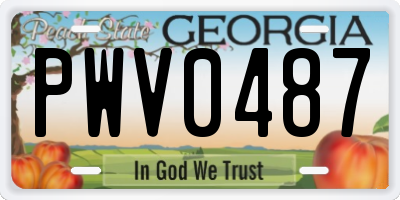 GA license plate PWV0487