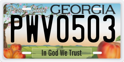 GA license plate PWV0503