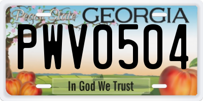 GA license plate PWV0504