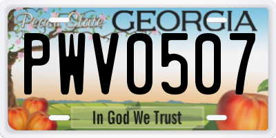 GA license plate PWV0507