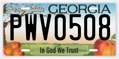 GA license plate PWV0508