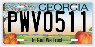 GA license plate PWV0511