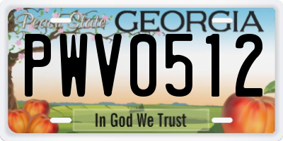 GA license plate PWV0512