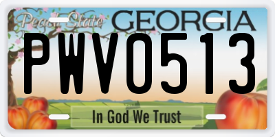 GA license plate PWV0513