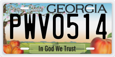 GA license plate PWV0514