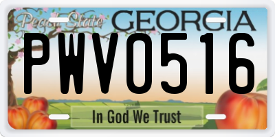 GA license plate PWV0516