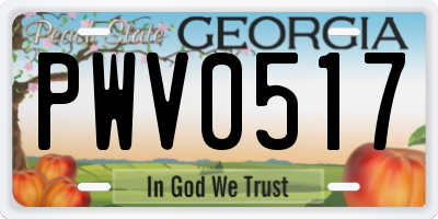 GA license plate PWV0517