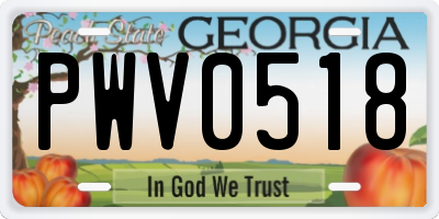 GA license plate PWV0518