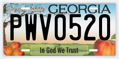 GA license plate PWV0520