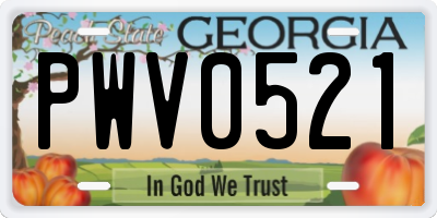 GA license plate PWV0521