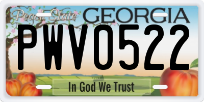 GA license plate PWV0522