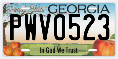 GA license plate PWV0523