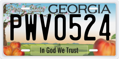 GA license plate PWV0524