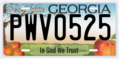 GA license plate PWV0525