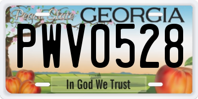GA license plate PWV0528