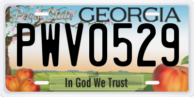 GA license plate PWV0529
