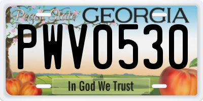 GA license plate PWV0530