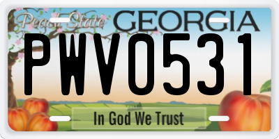 GA license plate PWV0531