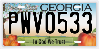 GA license plate PWV0533