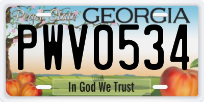 GA license plate PWV0534