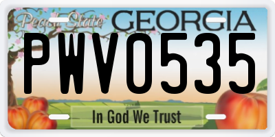 GA license plate PWV0535