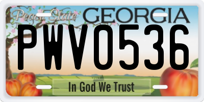 GA license plate PWV0536