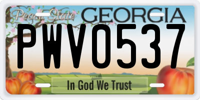 GA license plate PWV0537