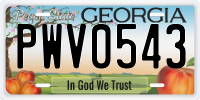 GA license plate PWV0543