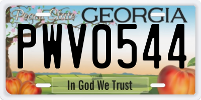 GA license plate PWV0544