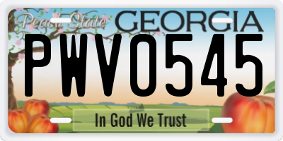 GA license plate PWV0545