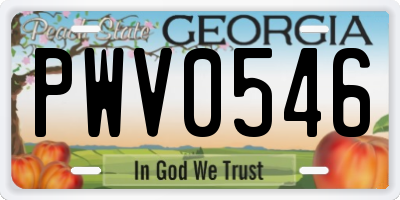 GA license plate PWV0546