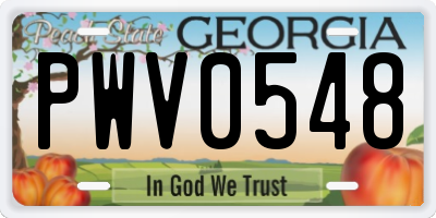 GA license plate PWV0548