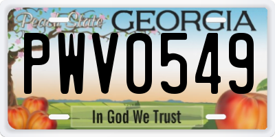 GA license plate PWV0549