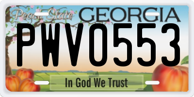 GA license plate PWV0553