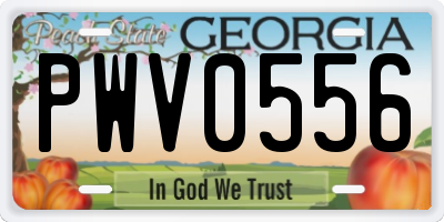 GA license plate PWV0556