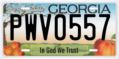 GA license plate PWV0557