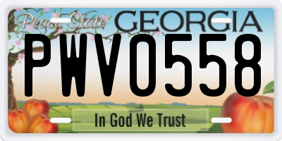 GA license plate PWV0558