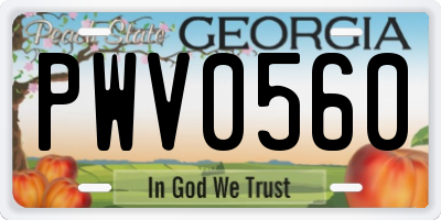 GA license plate PWV0560